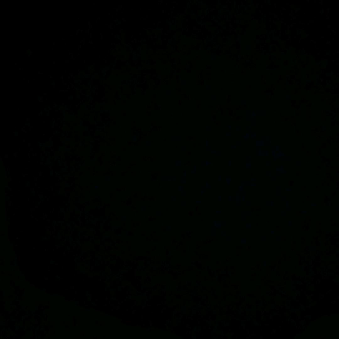 我真皮