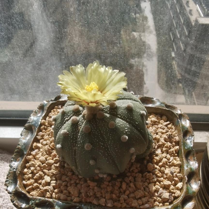 随心头像