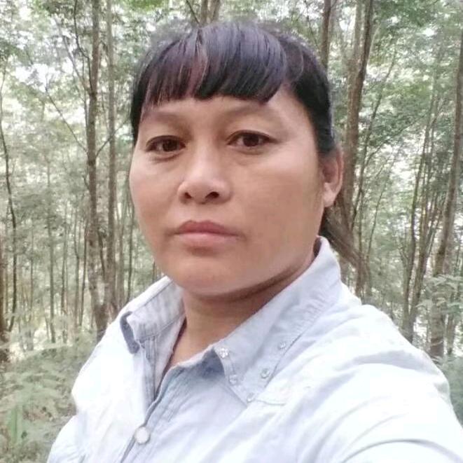 小李妹单身