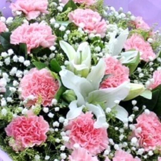 杨慧淇