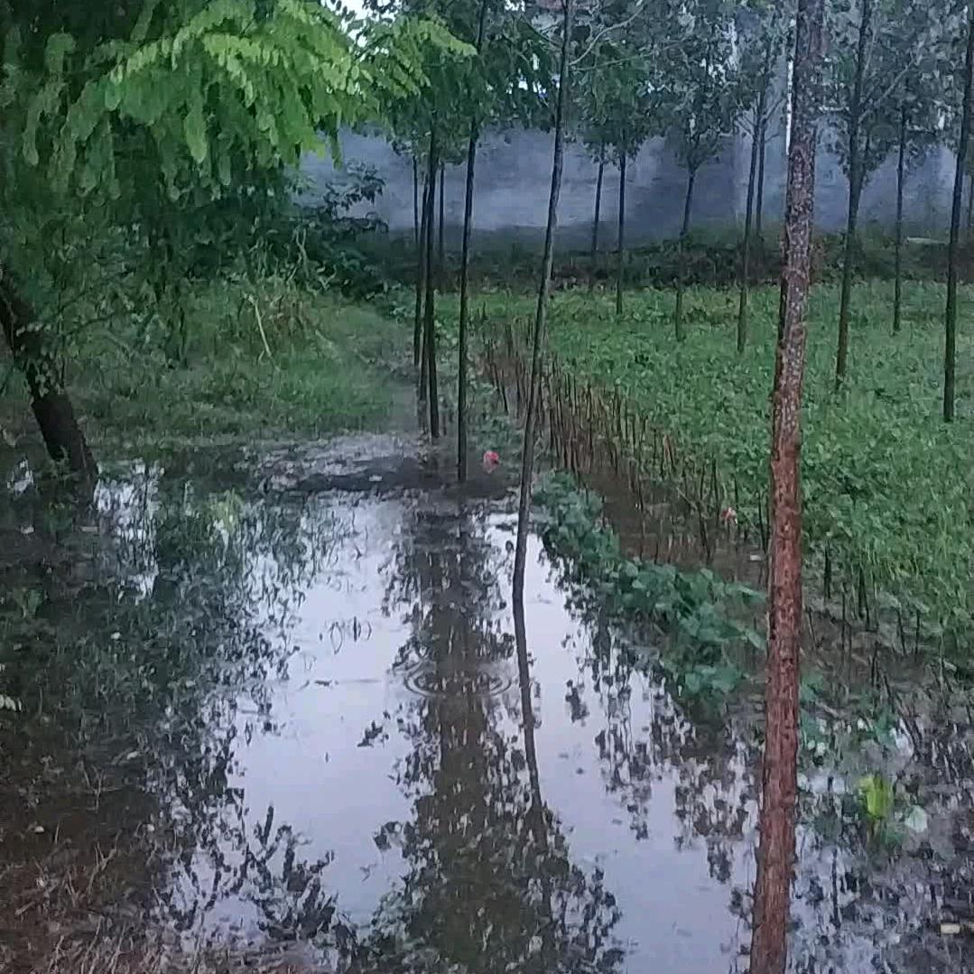 忘记