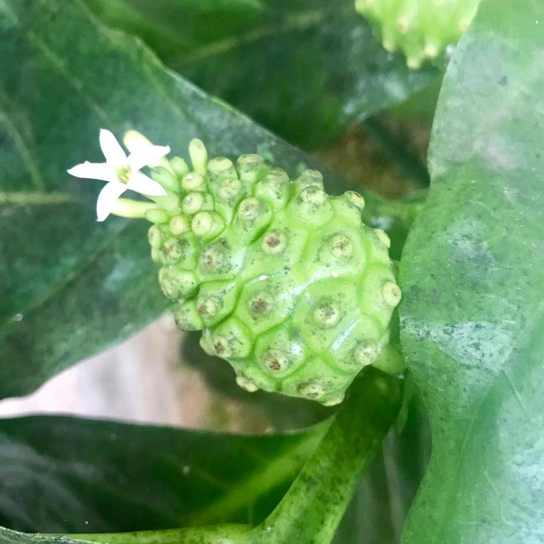 暗泪落花看春雨，绵绵示意又一春