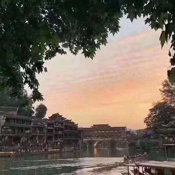 楠