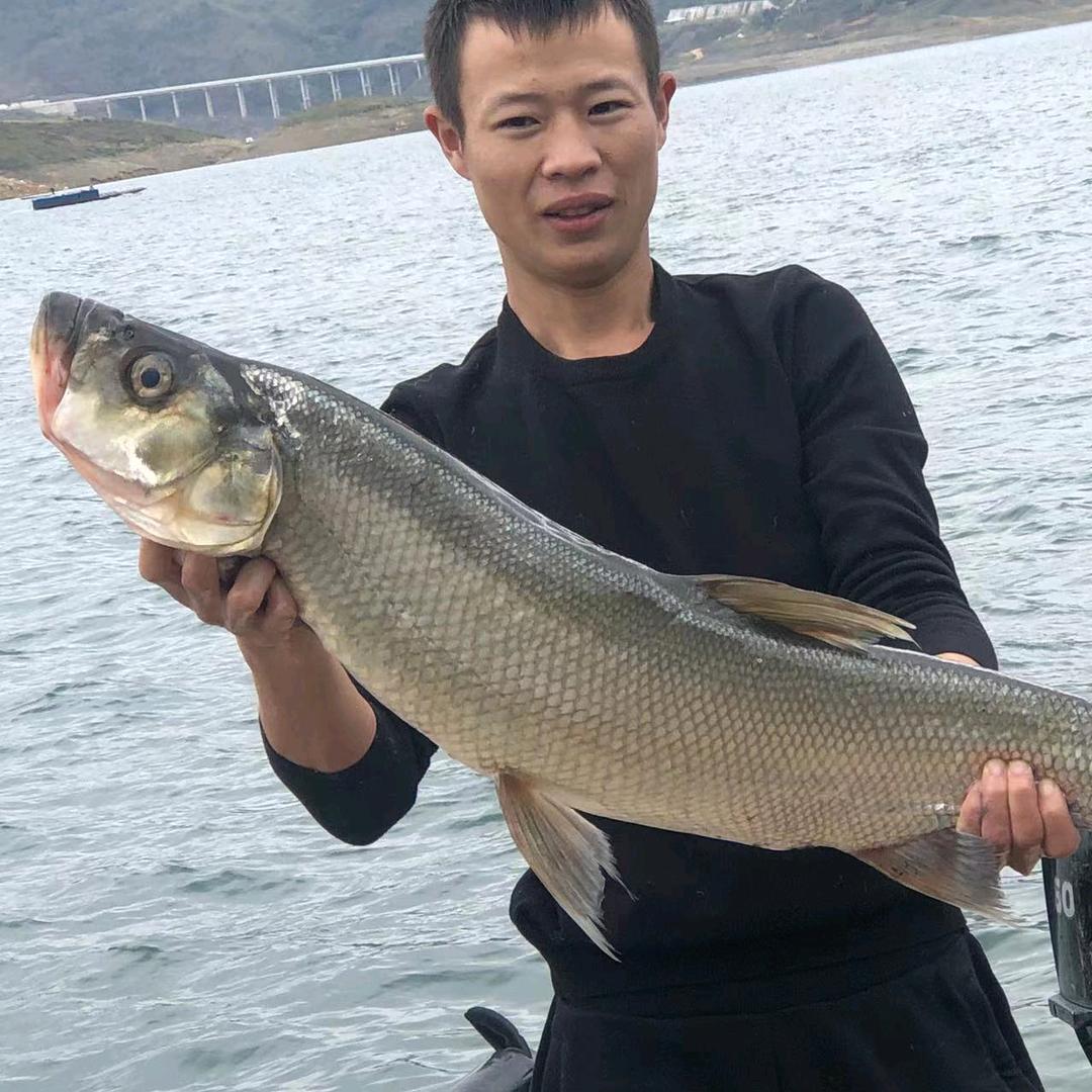 钓鱼空军🌈
