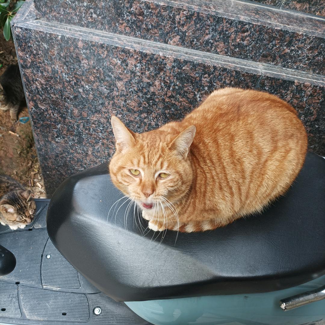 何以笙箫默@