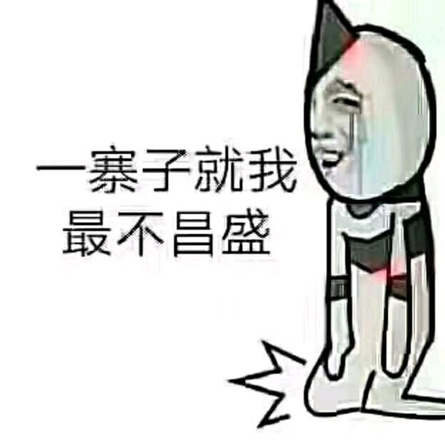 高雲上的雪狼