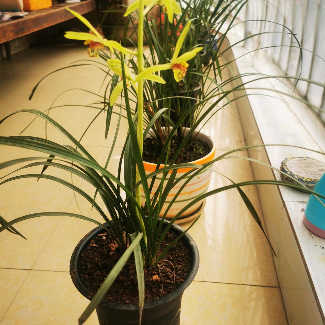 鑫壕建筑劳务有限公司