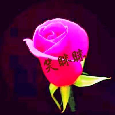 芳华