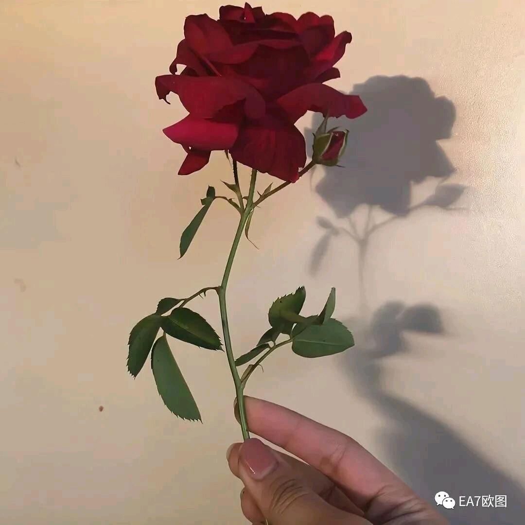 热先😘好物分享