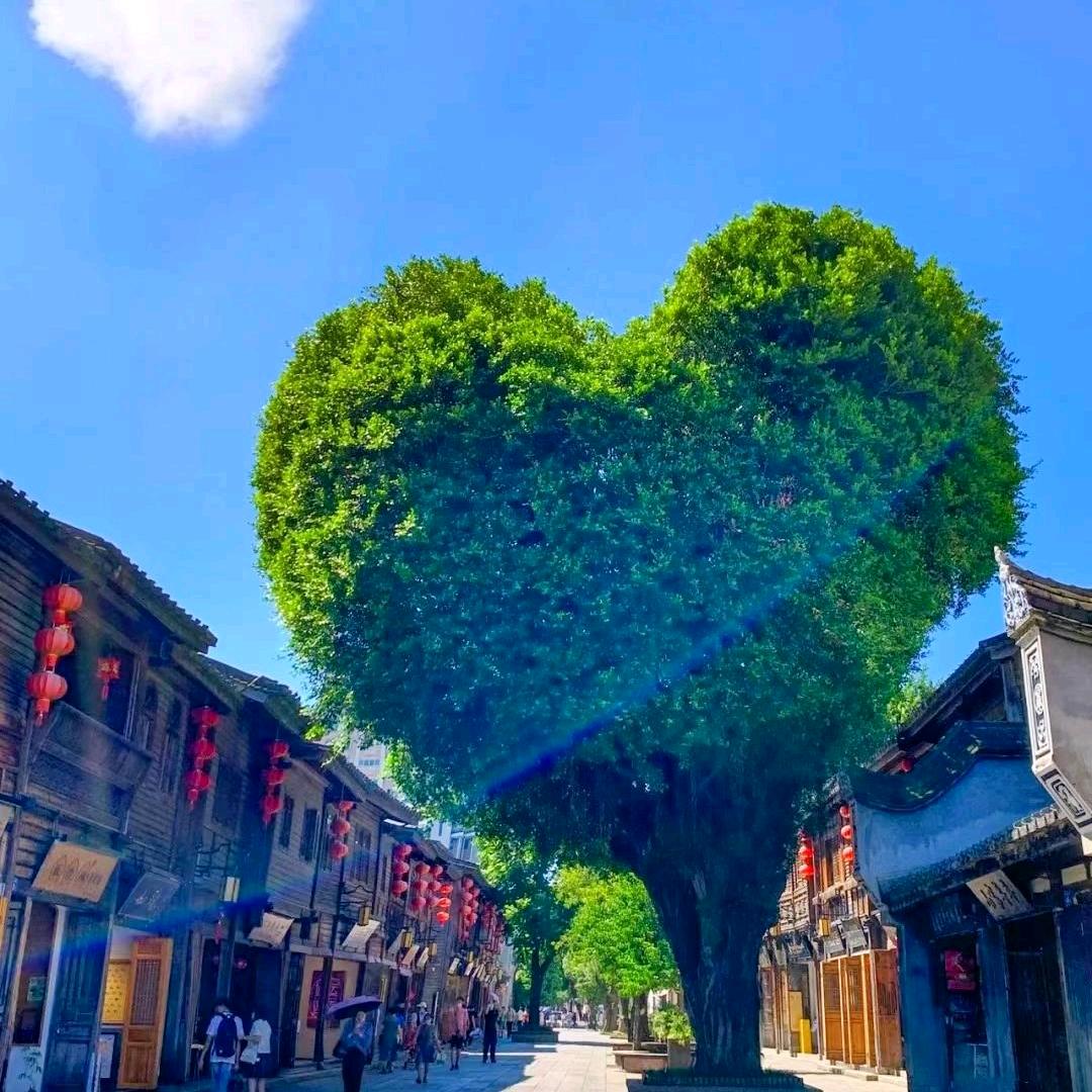 是邓邓wa