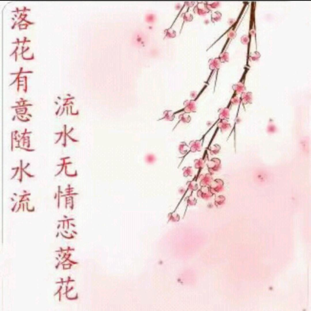 不知道奶茶还甜不甜