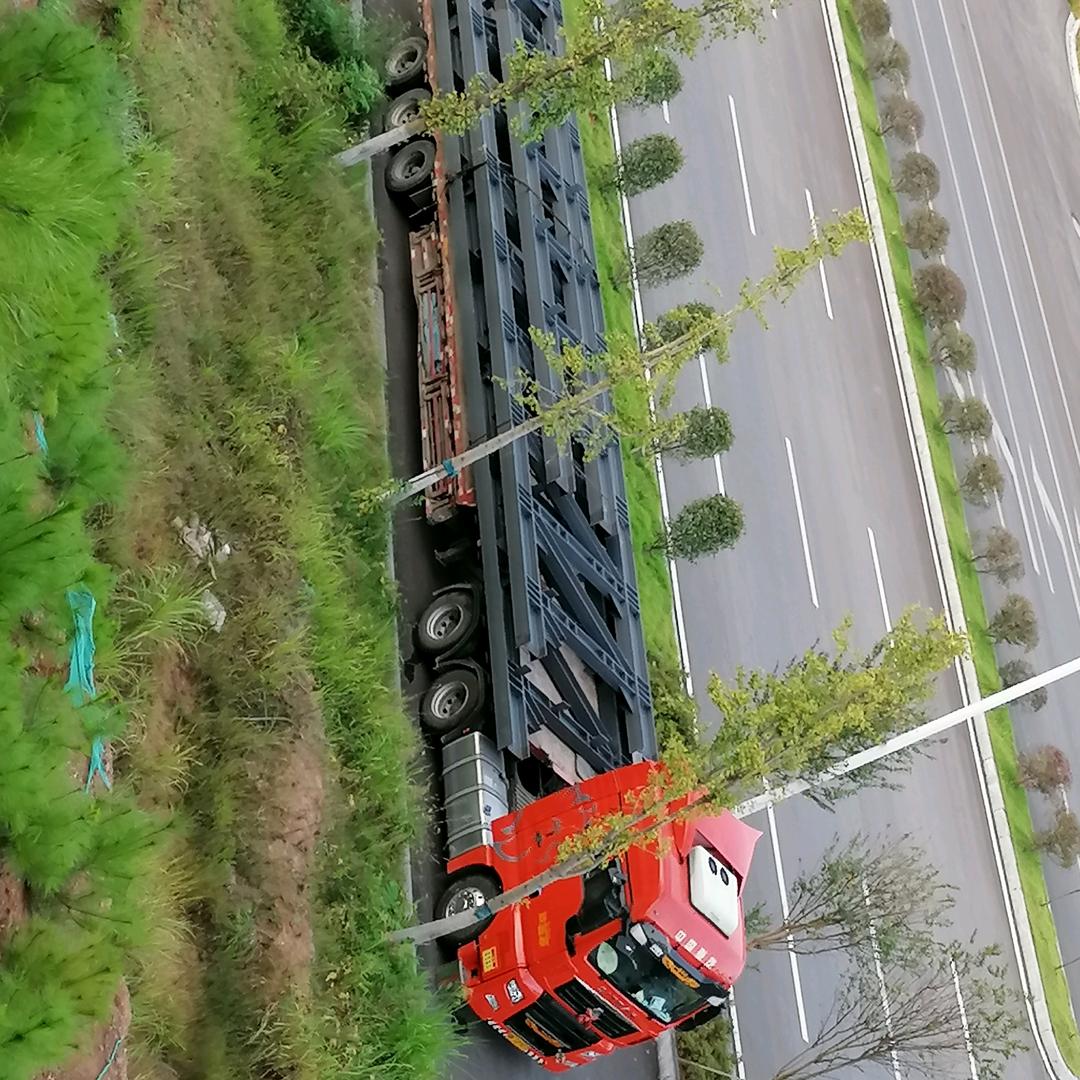 阳华