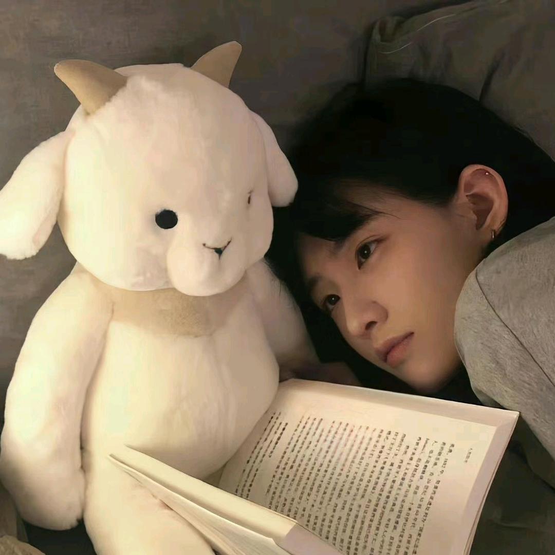 小羊肖恩🎶