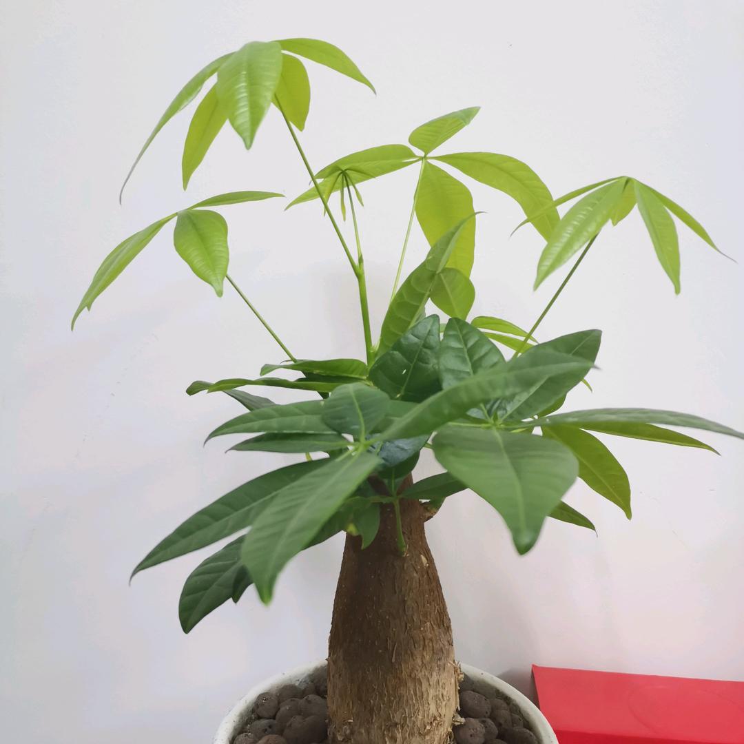 云姐 .
