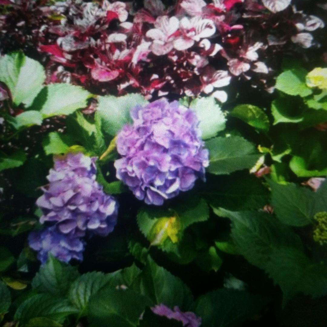 彩色藍天