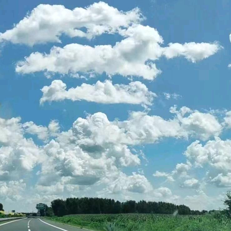 王布和哈尔滨刘刚