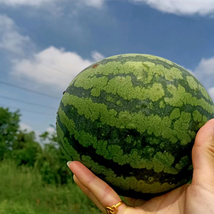 盐盐很甜😎