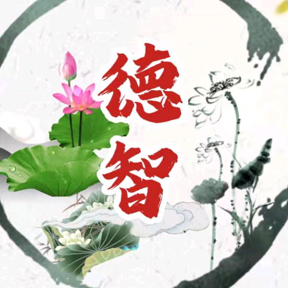 德智.