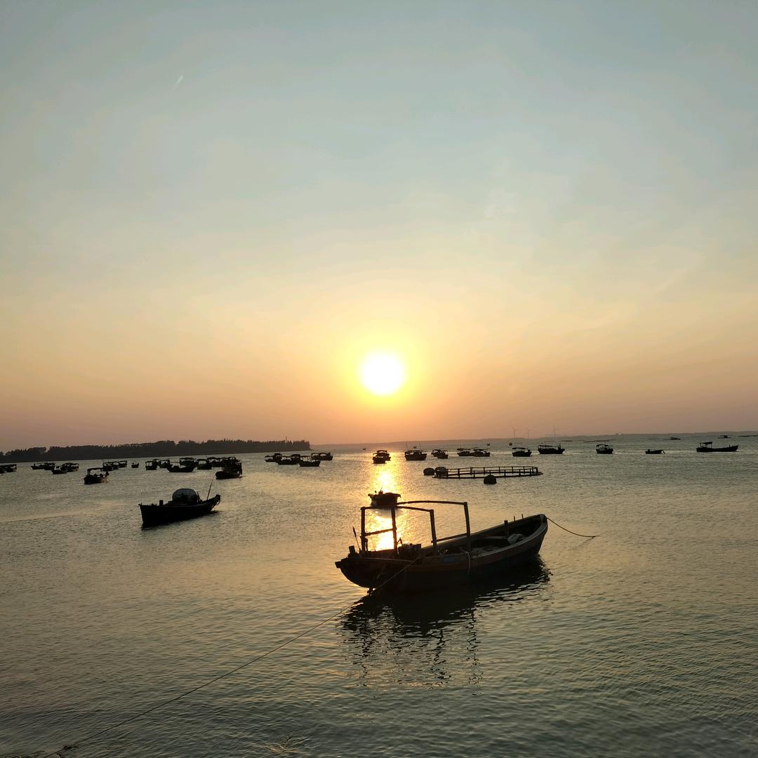 余生🌹🌹安好🌹🌹