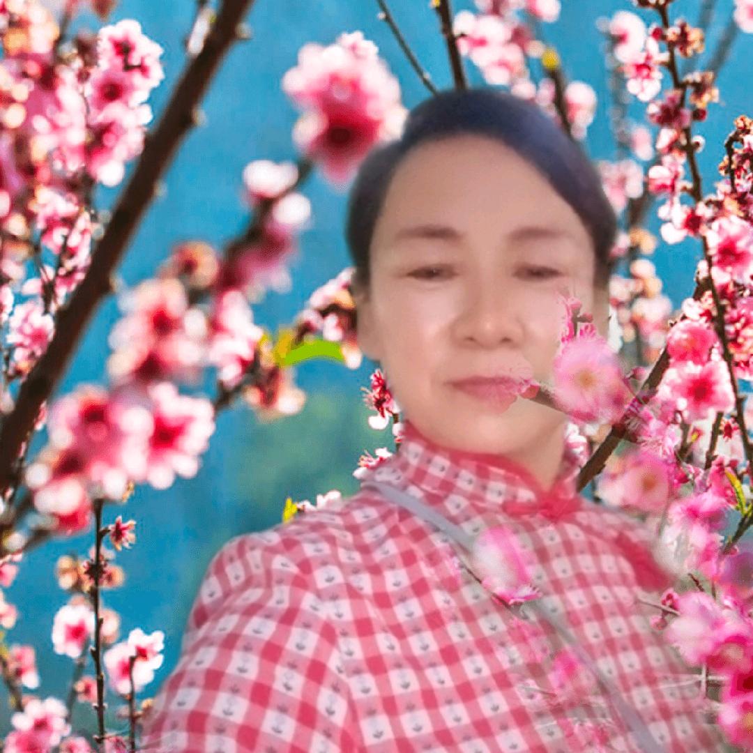 芳草_258886724