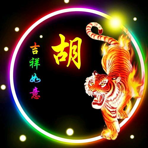 江南1986