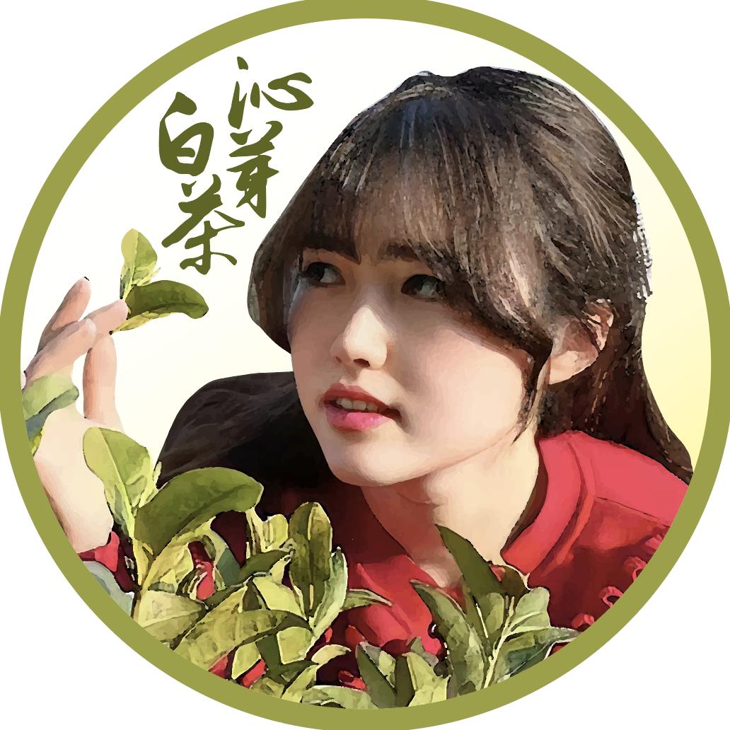 沁芽安吉白茶叶