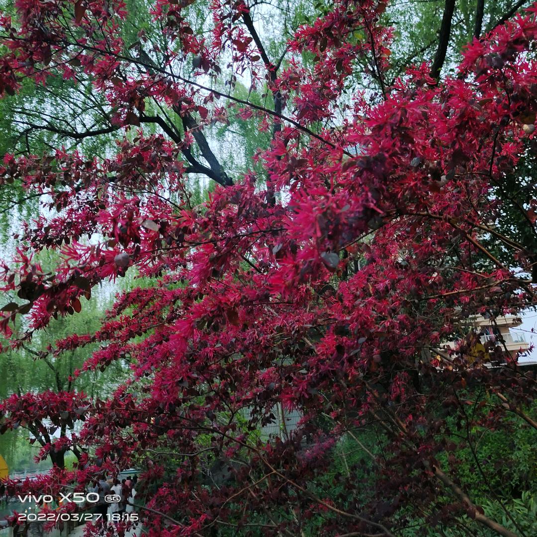 不忘初心