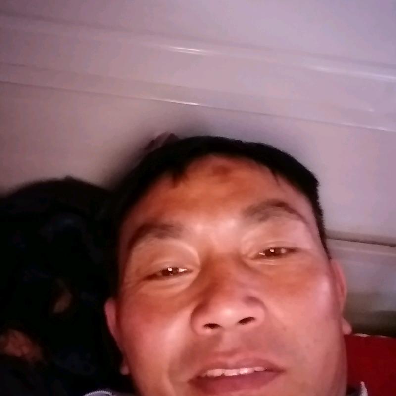 dyp5b5po60s3