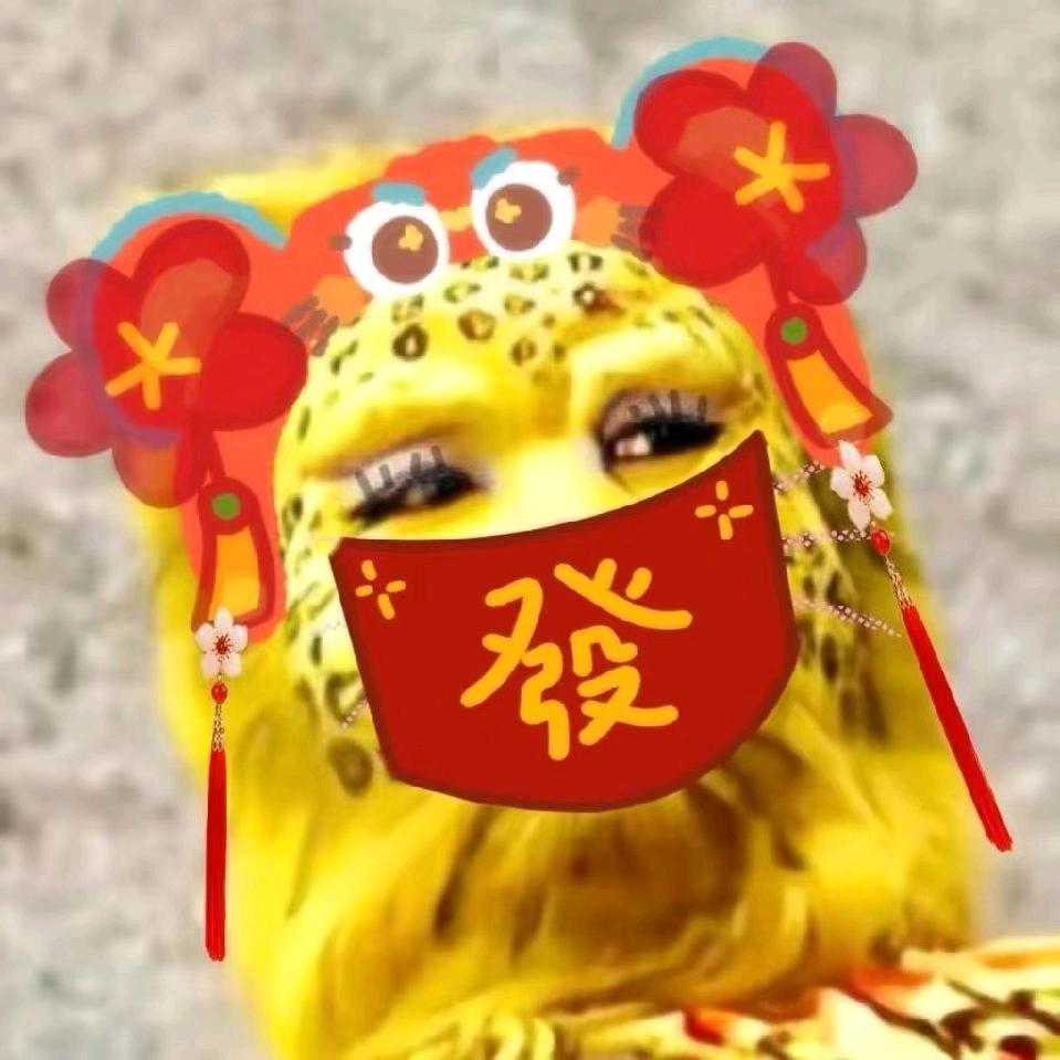爱你给我一身伤