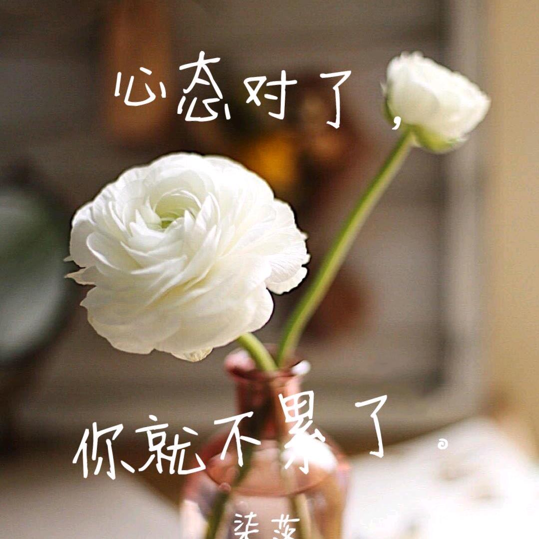 陌❤️陌