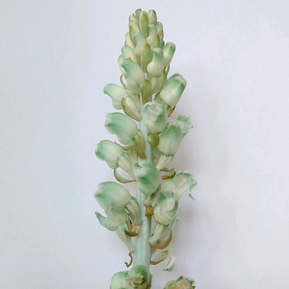 德余生，安好！