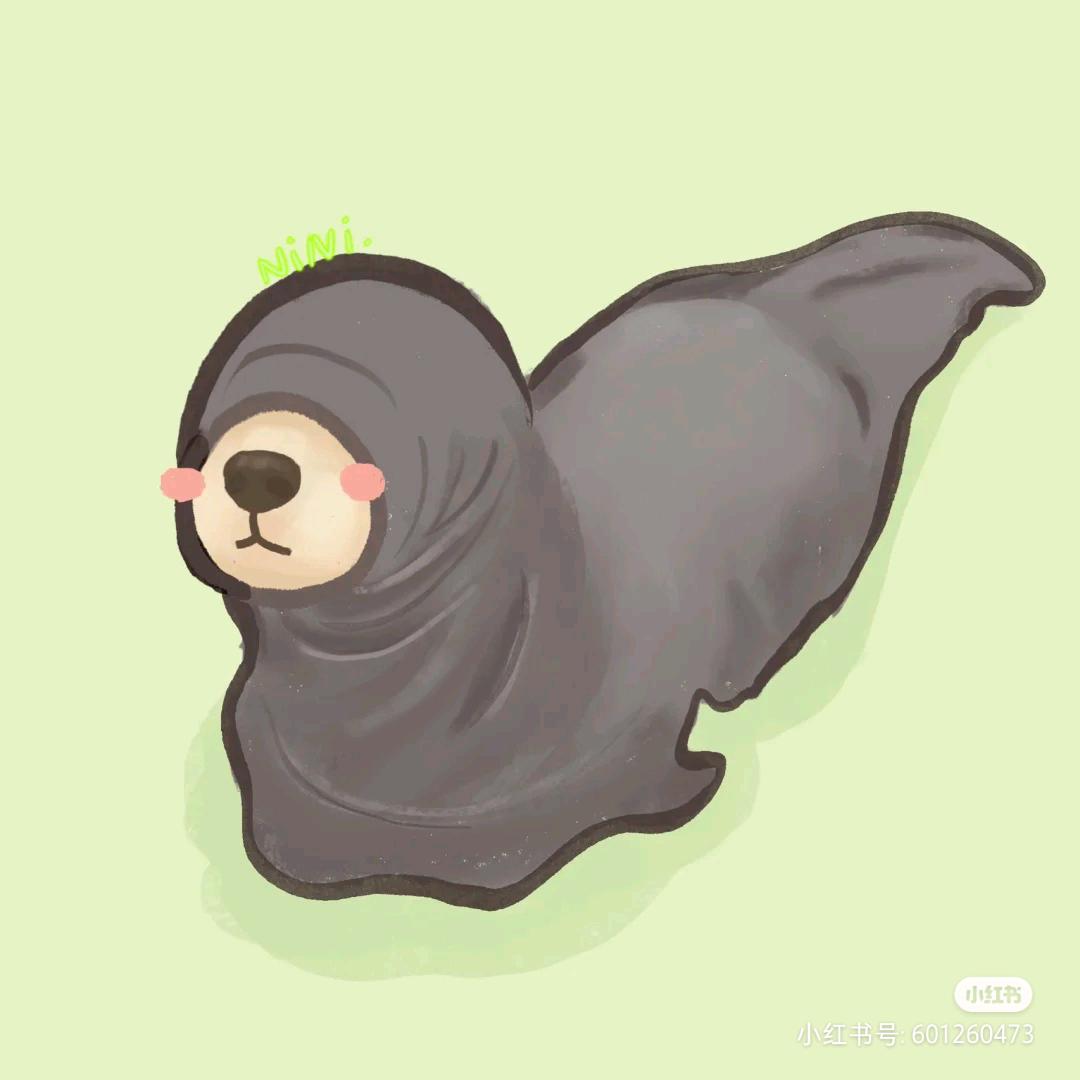 八月八探索