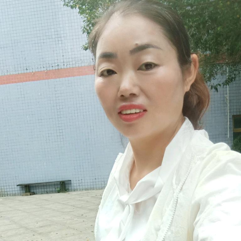梅花开了