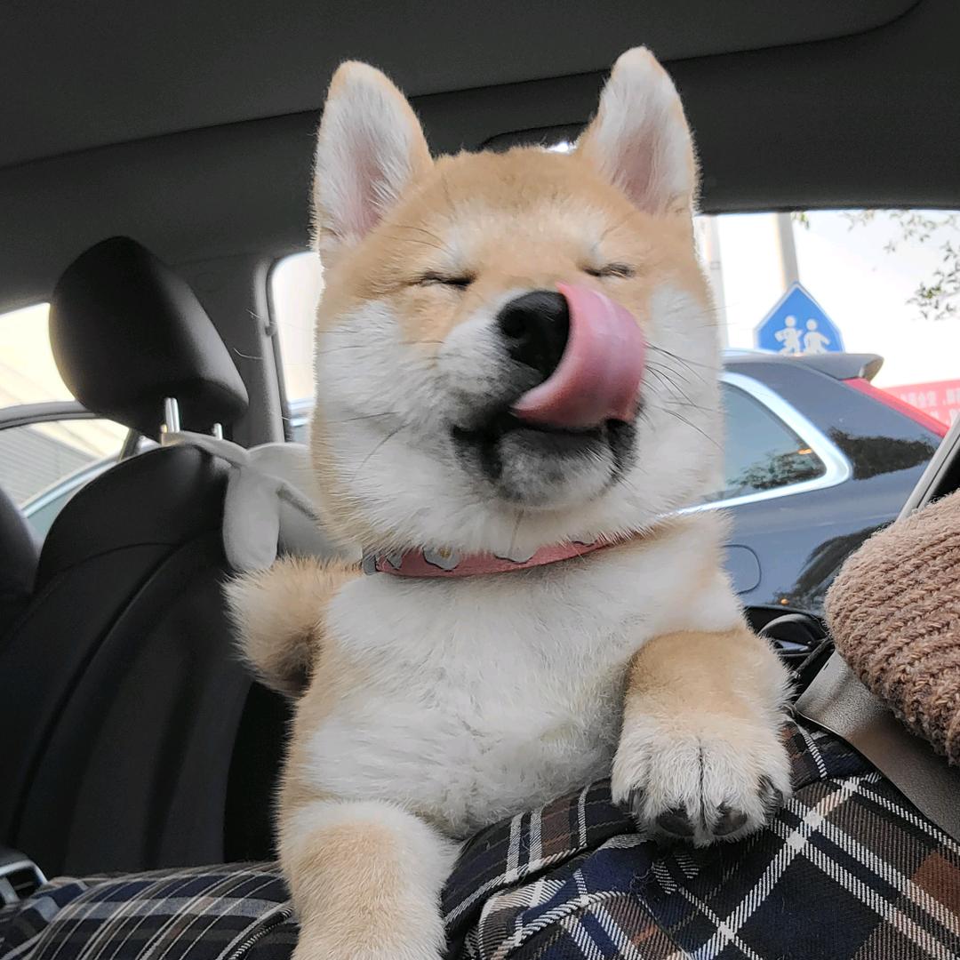 Arav头像