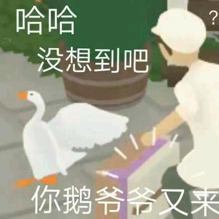 布丁