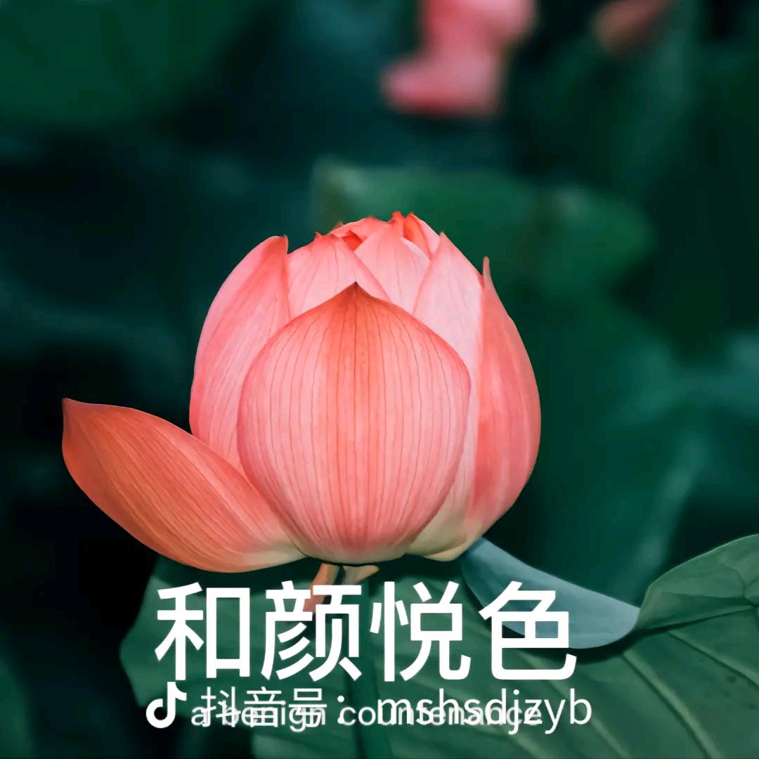 明天好