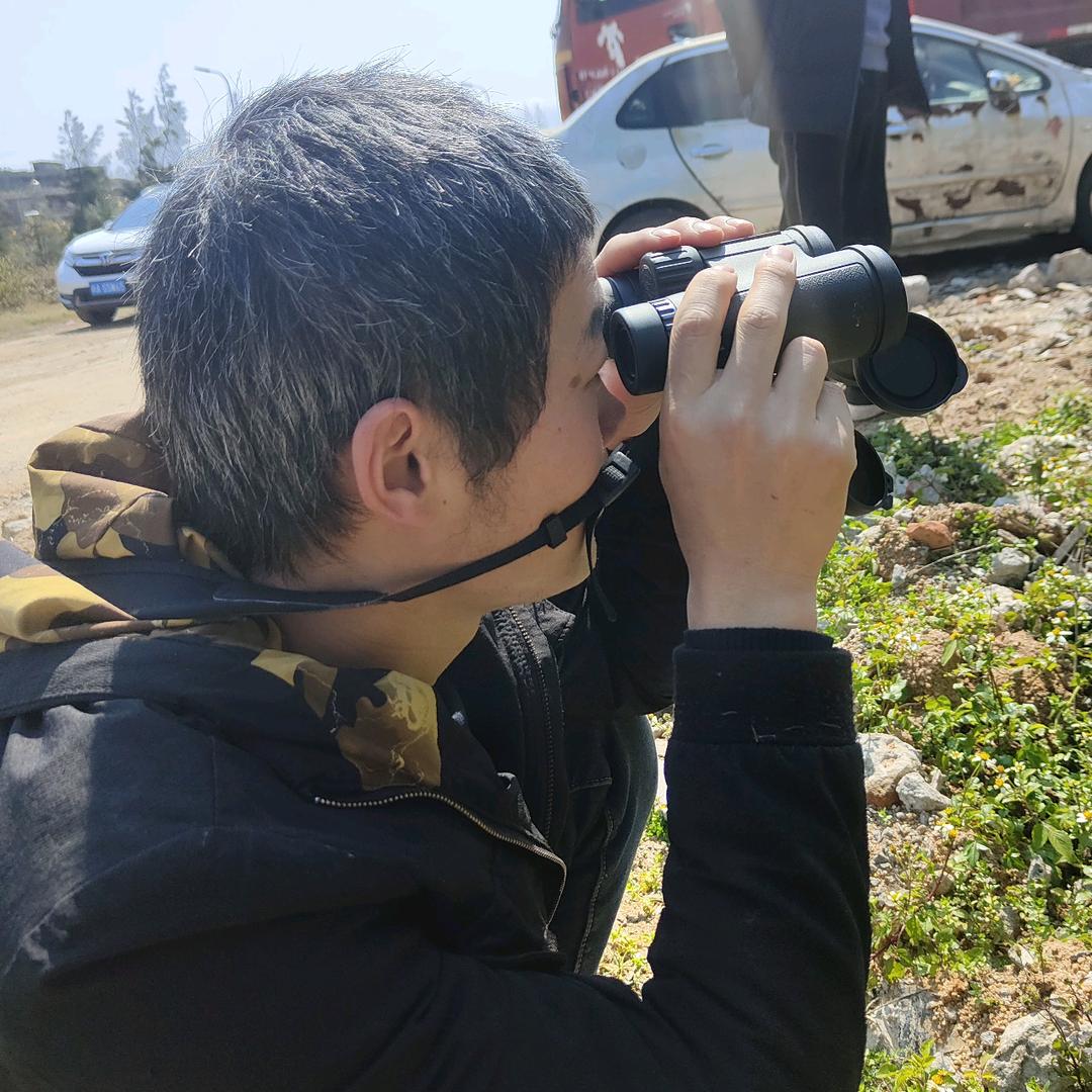 永顺县万坪镇深山蜂蛹