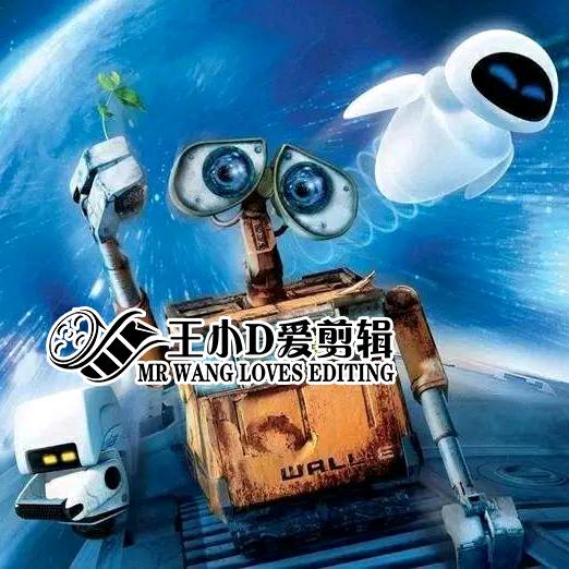 王小D爱剪辑