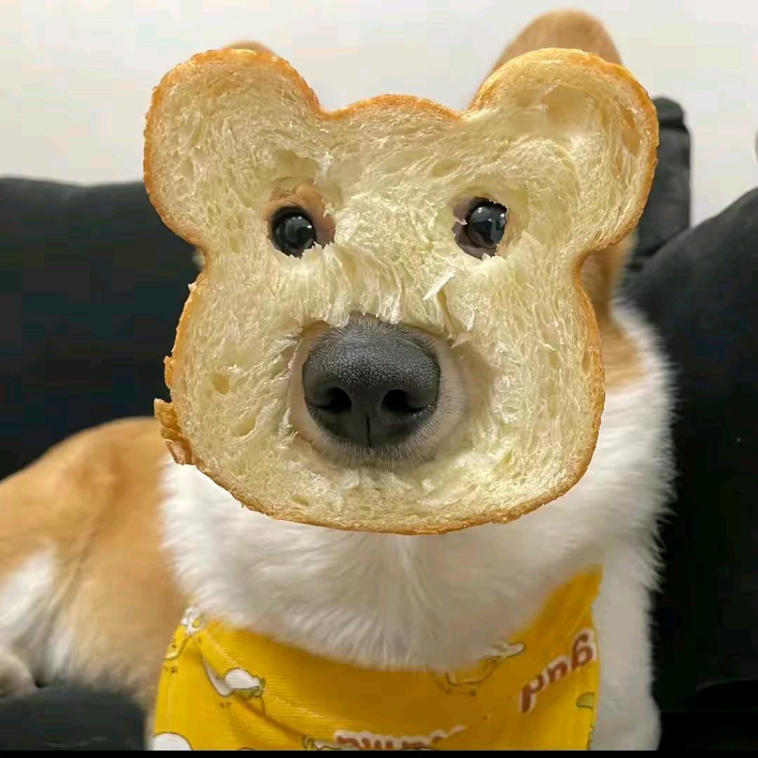 安