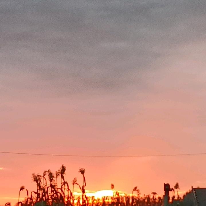 阳光灿烂