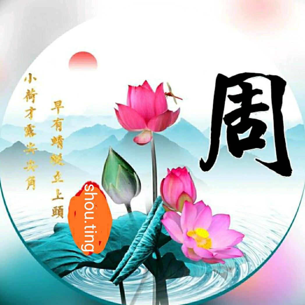在河之洲