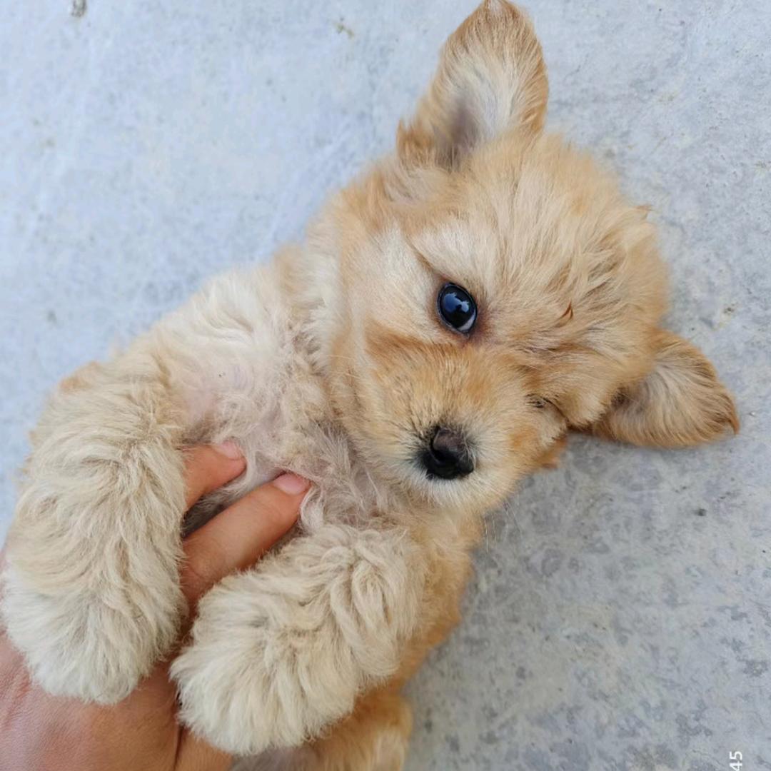 春去秋来