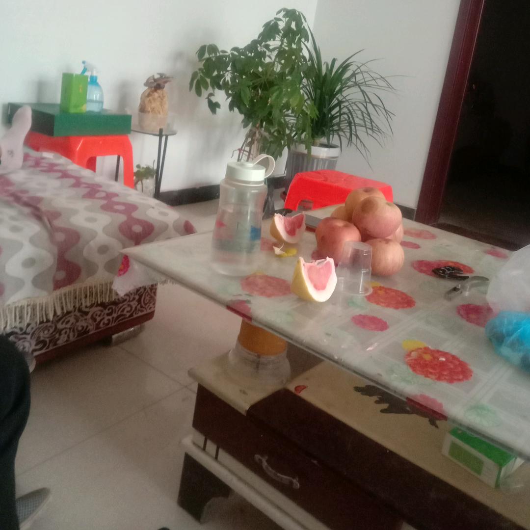 风景独好