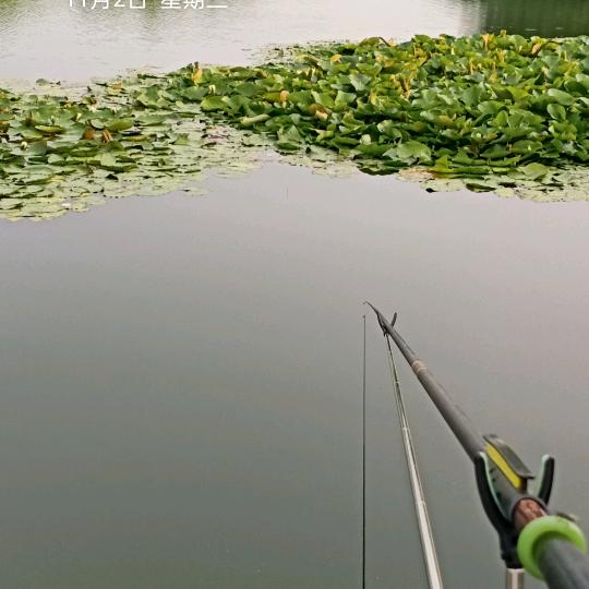 用户706594114219随缘