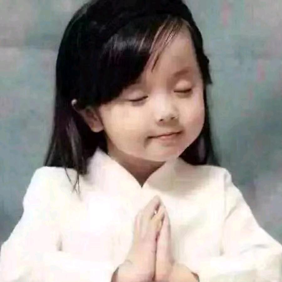 猪猪侠的小可爱