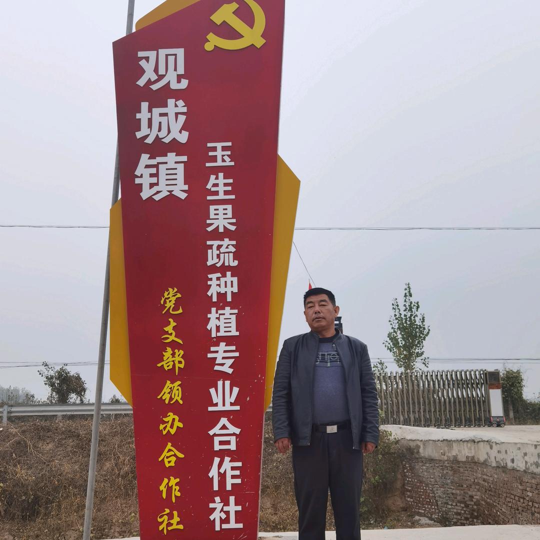 观城东街支部领办合作社