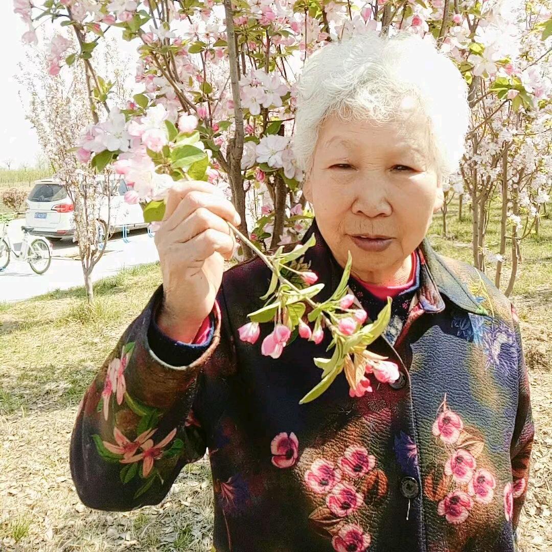 老妈