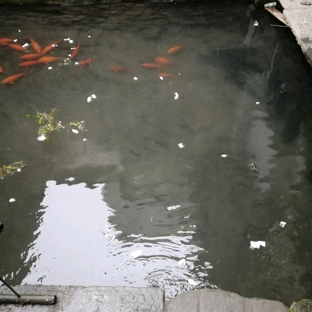 忘记一切