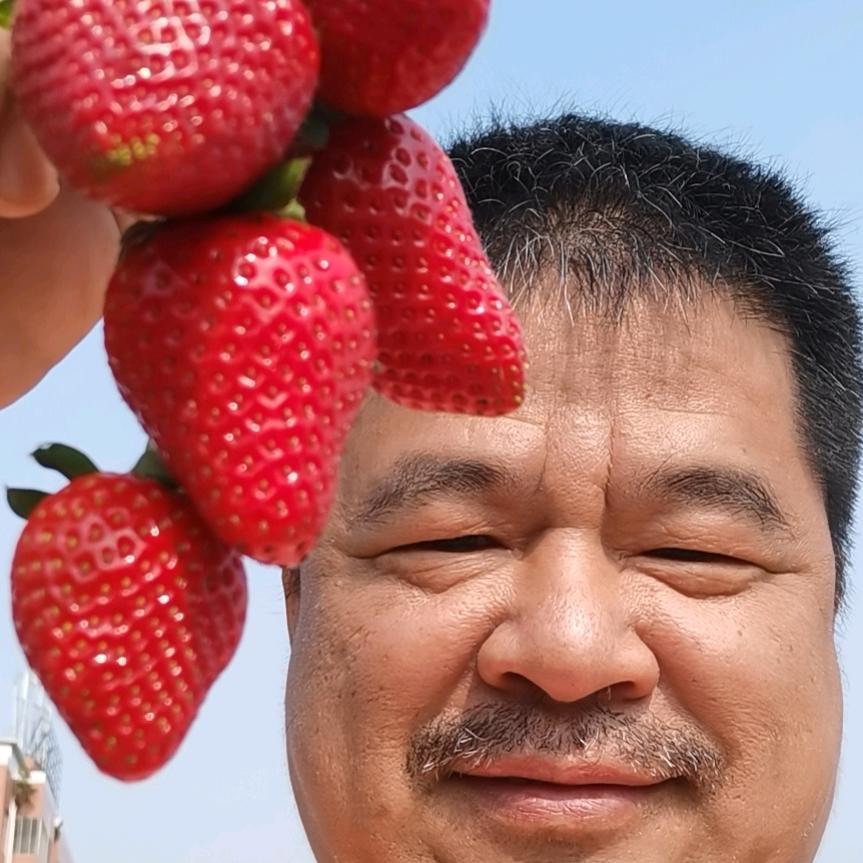 自力更生新农民