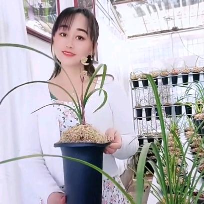 ☀树仁花卉☀